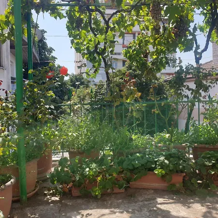 Jordhani's House בית הארחה